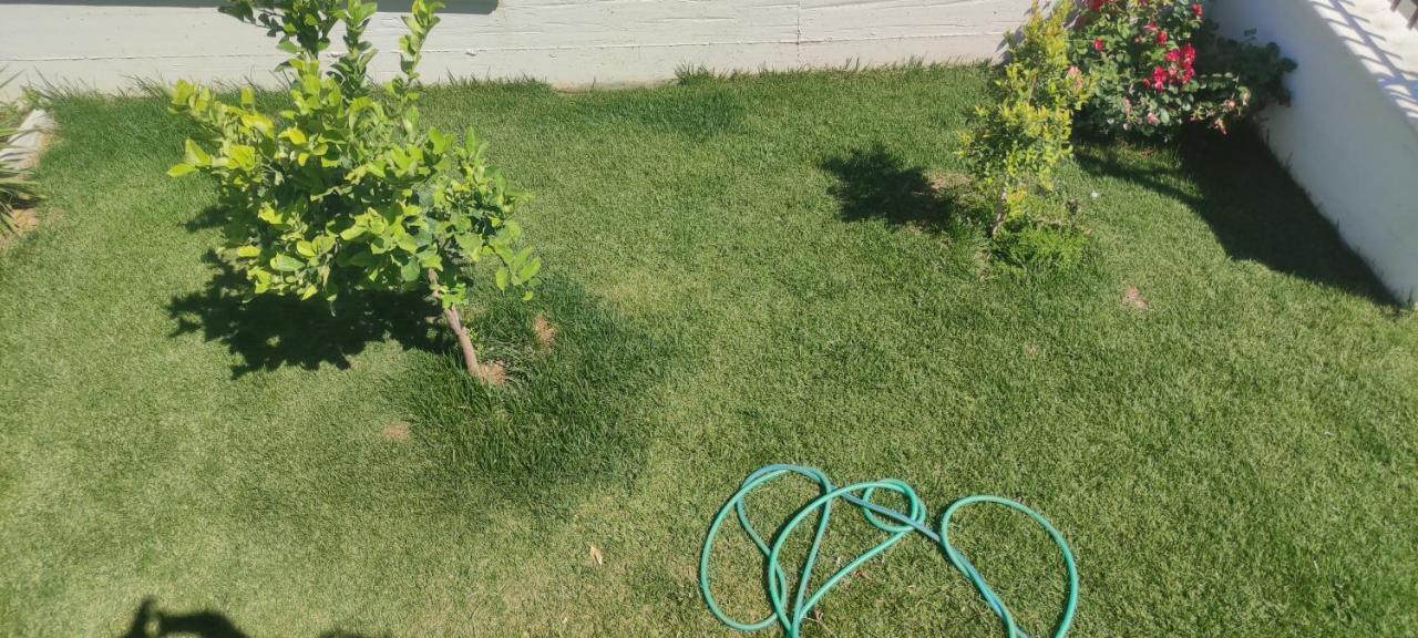 Alba De Mar B&B 로세토 카포 스풀리코 외부 사진